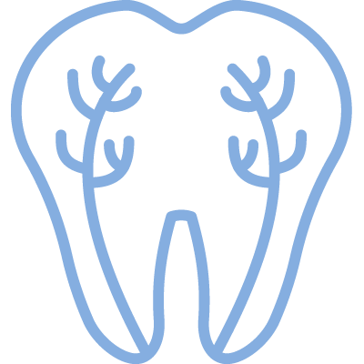 Endodontie Endodontie